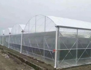 連棟薄膜溫室的結(jié)構(gòu)優(yōu)點(diǎn)分析