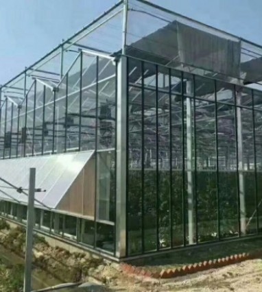 智能溫室大棚的發展趨勢