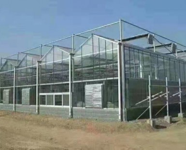 玻璃溫室