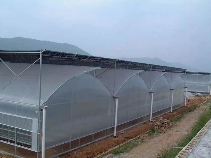 薄膜連棟溫室