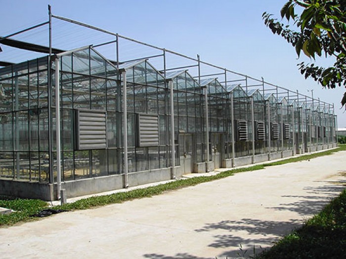 玻璃智能溫室