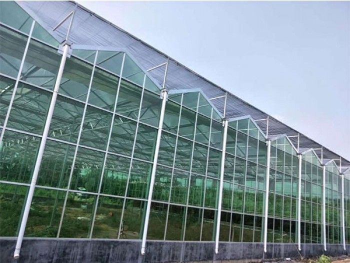 玻璃大棚